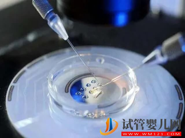 濰坊960試管總共可以免費三次嗎？(圖2)
