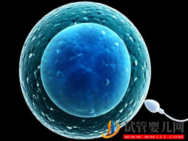 長治和平醫(yī)院試管移植一次就著床的成功率有多少?(圖2) 長治和平醫(yī)院試管移植一次就著床的成功率有多少?(圖2)