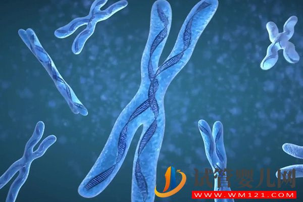 試管9周多胎停有3大原因,胚胎發(fā)育異常概率大是其一(圖2) 試管9周多胎停有3大原因,胚胎發(fā)育異常概率大是其一(圖2)