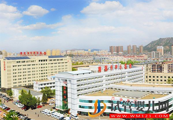 遼寧朝陽供卵機構大全，哪家助孕機構好看排行榜(圖2)