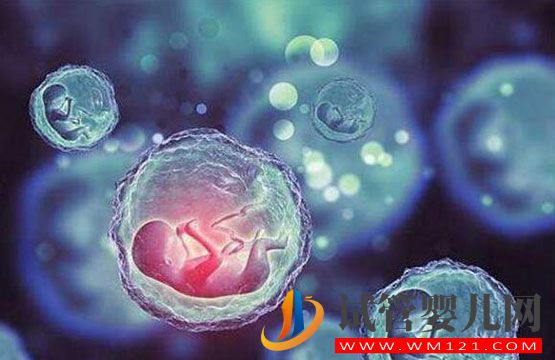 孕早期寶媽分享泰國(guó)試管嬰兒全程詳細(xì)流程(圖1)