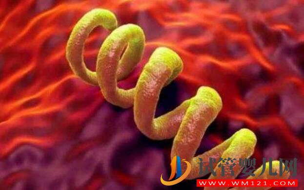 試管嬰兒前期檢查項目報告你看的懂嗎?看完就會了(圖4) 試管嬰兒前期檢查項目報告你看的懂嗎?看完就會了(圖4)