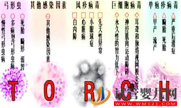 試管嬰兒前期檢查項目報告你看的懂嗎?看完就會了(圖7) 試管嬰兒前期檢查項目報告你看的懂嗎?看完就會了(圖7)