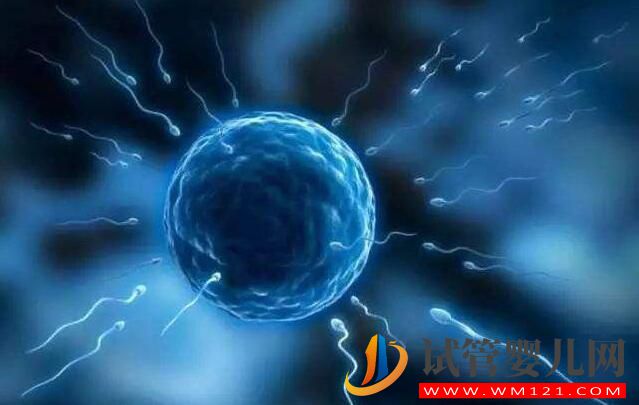 為什么做試管嬰兒要趁早？年齡才是阻礙女性生育的敵人(圖2)