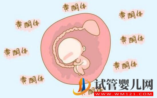 孕酮低就代表著需要保胎嗎？孕酮、HCG與保胎的關(guān)系你了解嗎？(圖2)