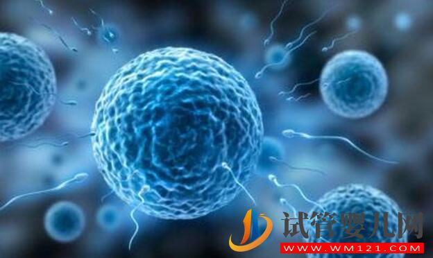 試管嬰兒(IVF)沒做好 可能會帶來哪些風險(圖4) 試管嬰兒(IVF)沒做好 可能會帶來哪些風險(圖4)