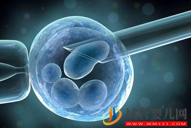 做試管嬰兒后突然自然懷孕是為什么(圖1) 做試管嬰兒后突然自然懷孕是為什么(圖1)