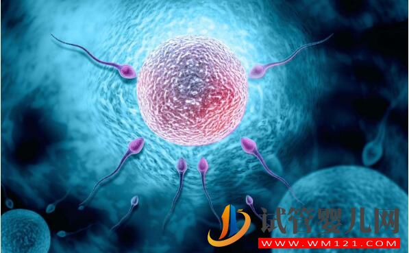 試管促排卵期間的注意事項和問與答(圖2) 試管促排卵期間的注意事項和問與答(圖2)