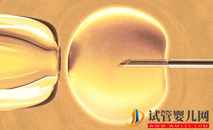 試管促排卵期間的注意事項和問與答(圖3) 試管促排卵期間的注意事項和問與答(圖3)