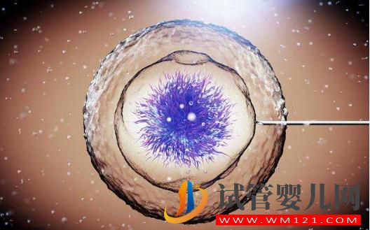 試管嬰兒成功率詳細介紹，高卵子利用率提高成功率(圖2)