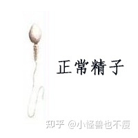 一代試管和二代試管的區別_畸形率高影響試管成功率(圖7)