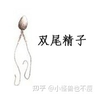 一代試管和二代試管的區別_畸形率高影響試管成功率(圖11)