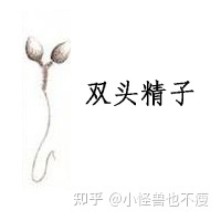 一代試管和二代試管的區別_畸形率高影響試管成功率(圖10)