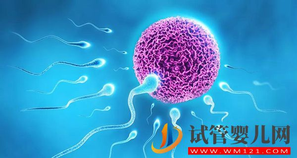 男性結(jié)扎后在試管嬰兒要多少錢 男性結(jié)扎后在試管嬰兒要多少錢(圖1)