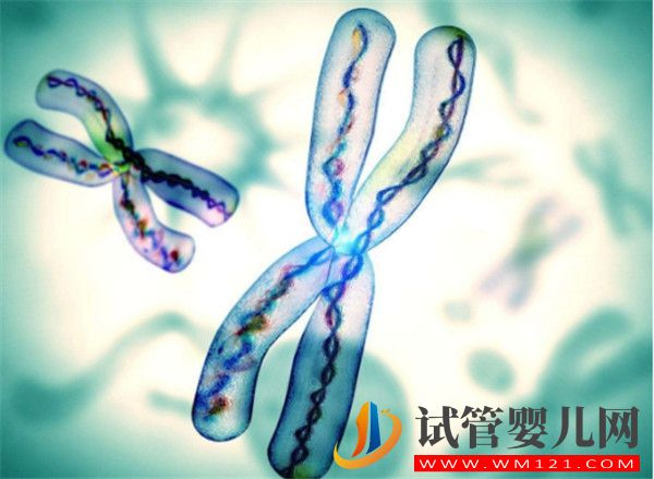 導(dǎo)致染色體異常的因素有哪些_如何做好預(yù)防措施(圖1)