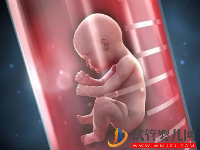 為什么移植一個卻有兩個寶寶，可以減一胎嗎？(圖1)