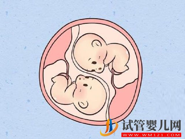 為什么移植一個卻有兩個寶寶，可以減一胎嗎？(圖2)