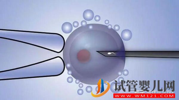 國內(nèi)排名靠前的三代試管醫(yī)院都有哪些_第一梯隊(duì)了解下(圖1)