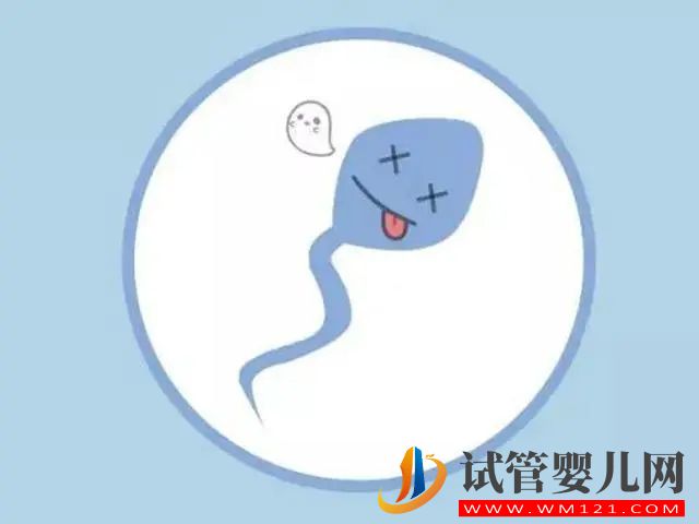 患了死精癥會出現哪些癥狀(圖1)