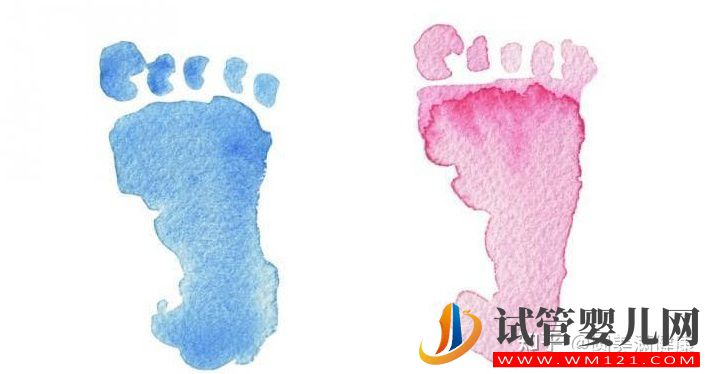 為什么做試管嬰兒大部分是龍鳳胎_試管知識告訴你(圖1)