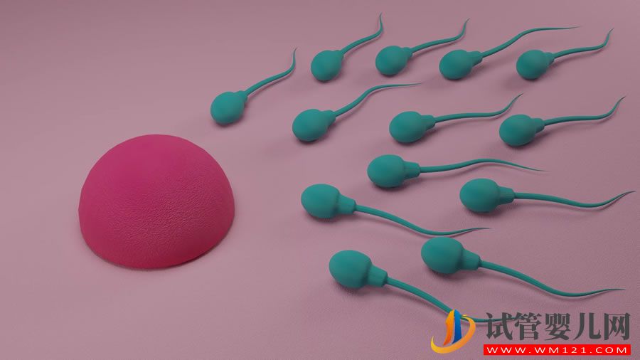 生育潤滑油會影響您懷孕的機(jī)會嗎？(圖1)