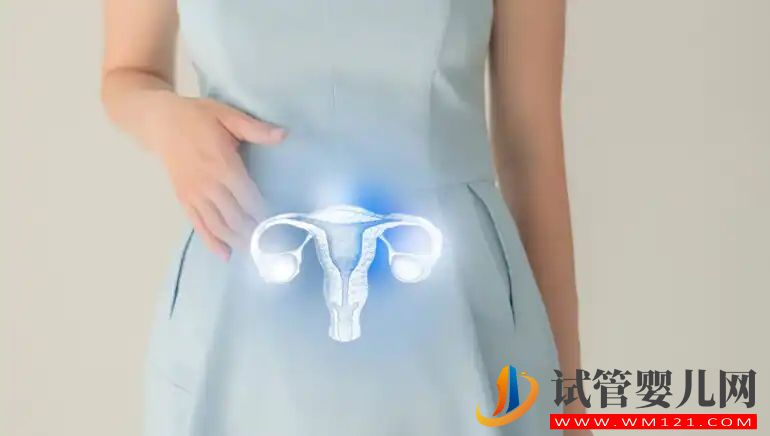 什么是敵對子宮?了解它如何導(dǎo)致不孕 什么是敵對子宮?了解它如何導(dǎo)致不孕(圖1)