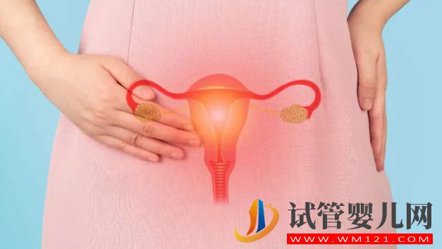 什么是敵對子宮?了解它如何導(dǎo)致不孕 什么是敵對子宮?了解它如何導(dǎo)致不孕(圖2)