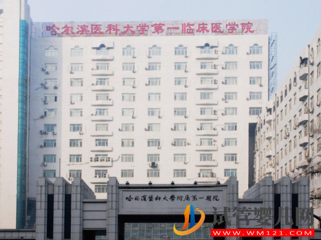 哈爾濱做人工授精成功率最高醫院盤點，哈醫大一、二院皆上榜(圖1)