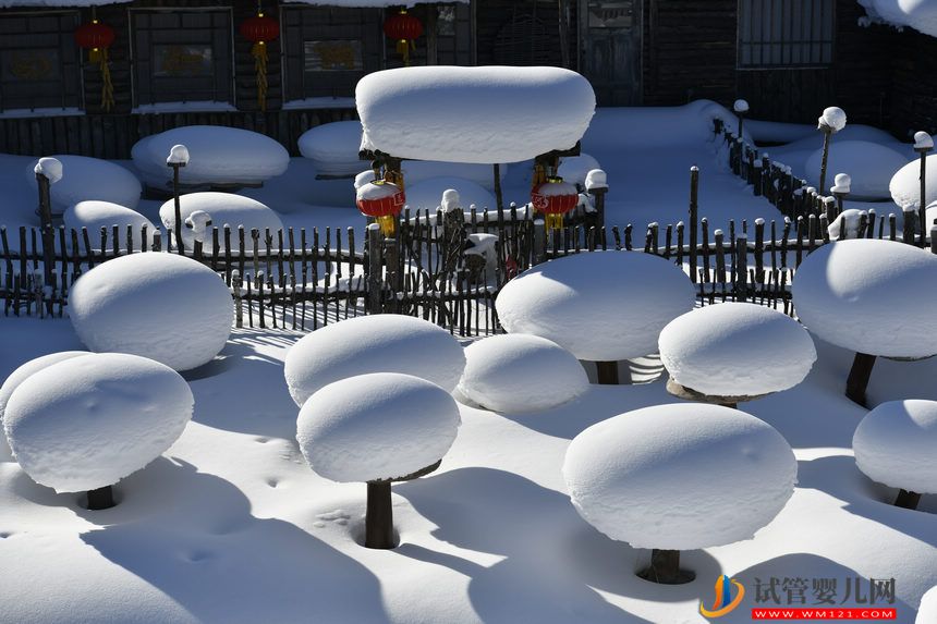 “雪”迎八方客 中國雪鄉景區正式開園(圖4)