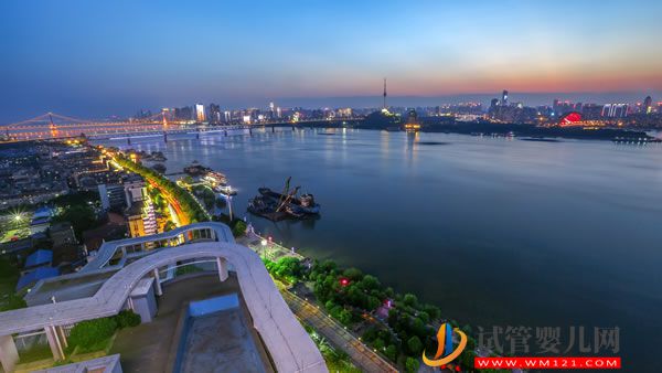 北武漢武昌區開通24小時熱線—— 康復咨詢  服務居民(圖1)