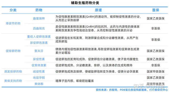 中國輔助生殖行業研究報告(圖4) 中國輔助生殖行業研究報告(圖4)