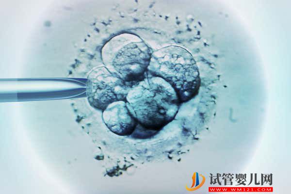 海南人工授精醫院一共有8家，哪家好等你來揭曉(圖1)