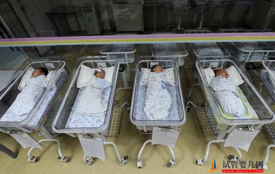 有條件放開“凍卵”、“試管嬰兒”，政協委員為大齡未婚女性生育支招(圖1)