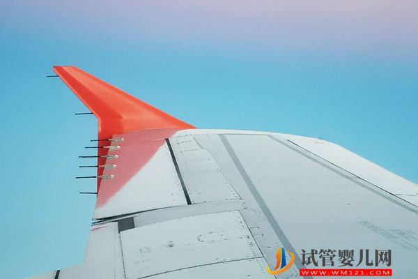 中國人去美國生孩子一共要多少錢，赴美生子拿美籍費用一覽(圖1)