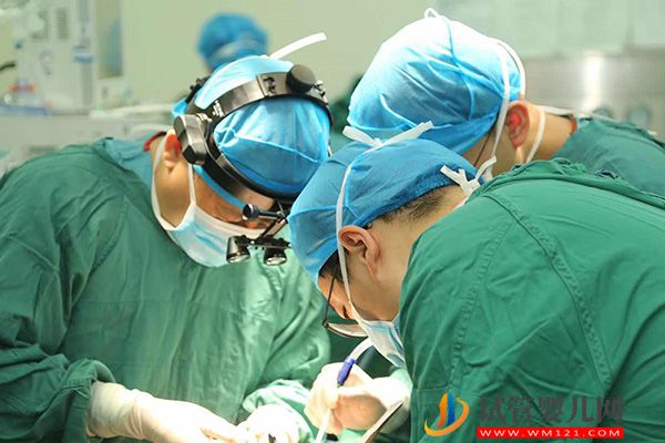 2023赴泰國供卵生子費用明細表，預算10萬是最低線(圖3)