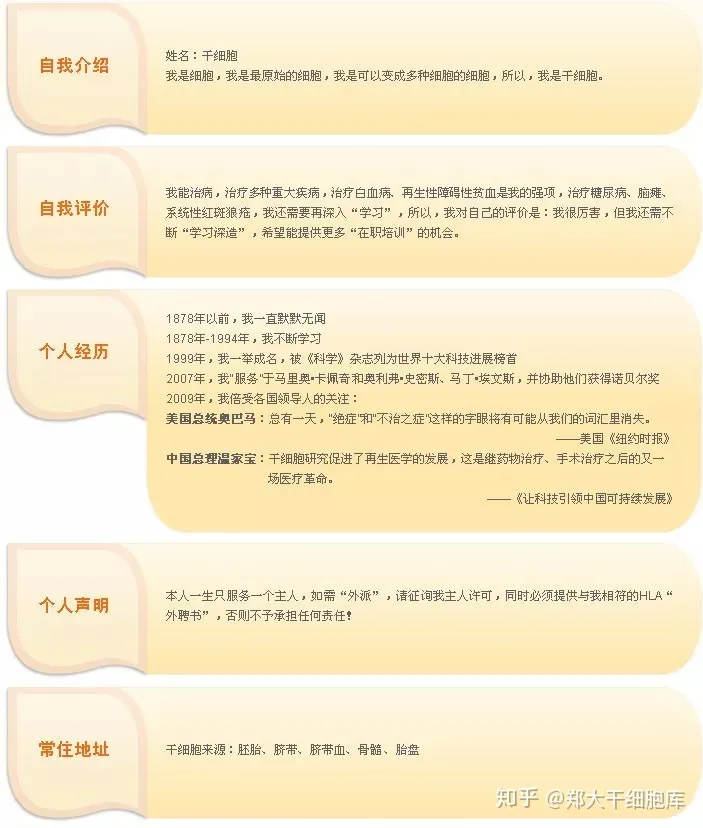 干細胞簡介——什么是干細胞？(圖2)