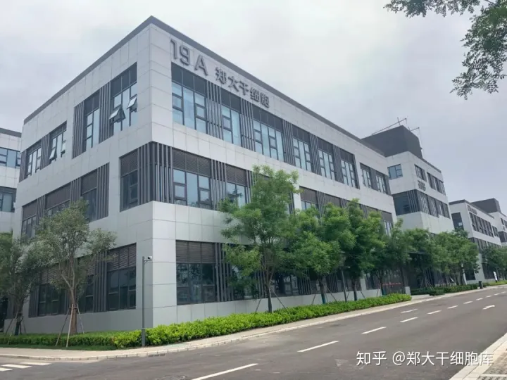 干細胞簡介——什么是干細胞？(圖6)