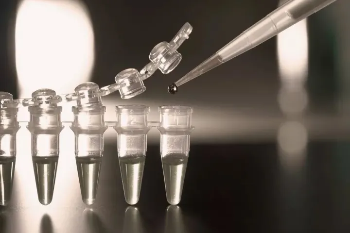 科普了解什么是干細胞？干細胞知識匯總來了(圖2)