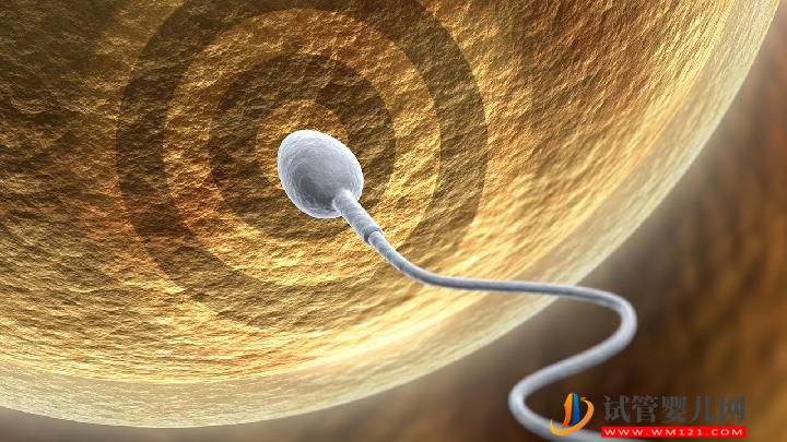 男人患不育的原因有哪些 吃核桃可以預防男性不育嗎(圖3) 男人患不育的原因有哪些 吃核桃可以預防男性不育嗎(圖3)