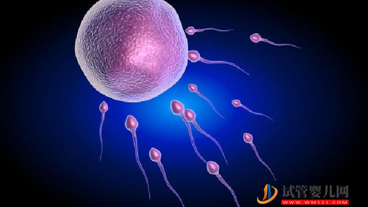 男人患不育的原因有哪些 吃核桃可以預防男性不育嗎(圖7)