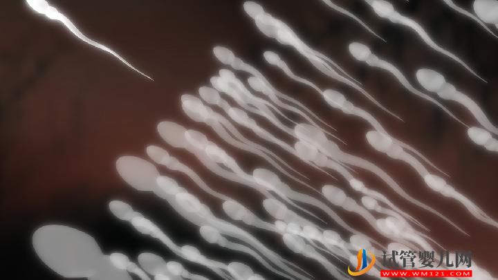 引起男性不育有哪些原因？4大男性疾病易發(fā)男性不育(圖1)