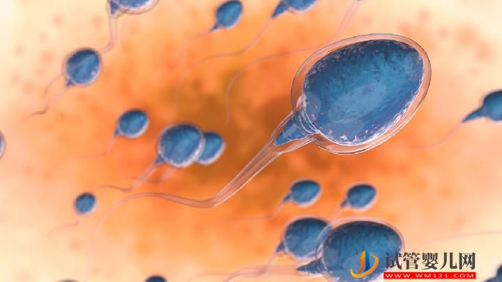 引起男性不育有哪些原因？4大男性疾病易發(fā)男性不育(圖2)