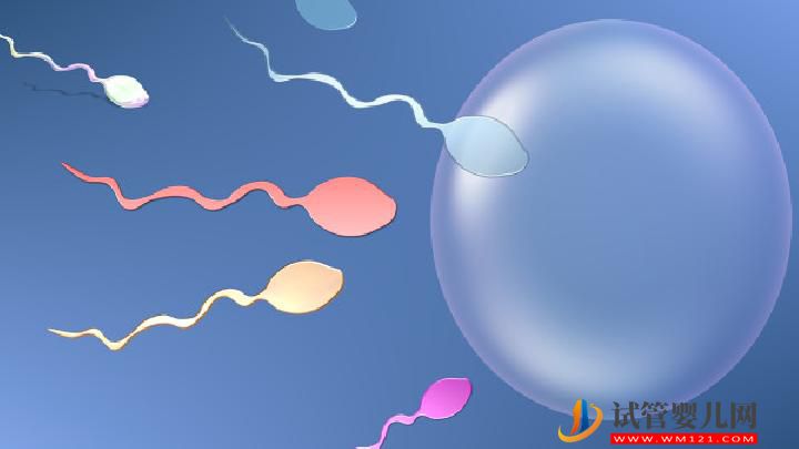 男性不育的6個藥膳療法 6個生活習慣是男性不育誘因(圖4)