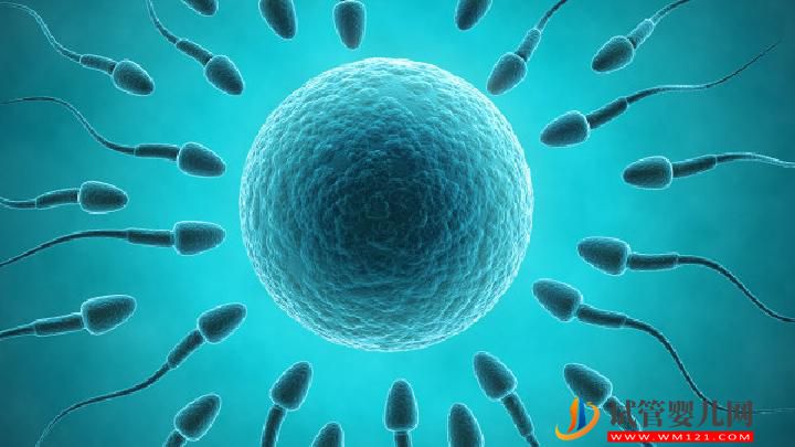 男性不育吃什么調理好？男性不育要多補充4大食物(圖2)