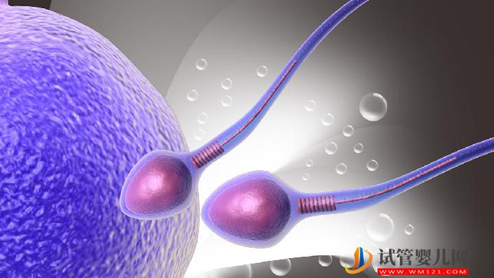 男性不育的治療方法有哪些?男性不育的4大治療誤區(圖4) 男性不育的治療方法有哪些?男性不育的4大治療誤區(圖4)