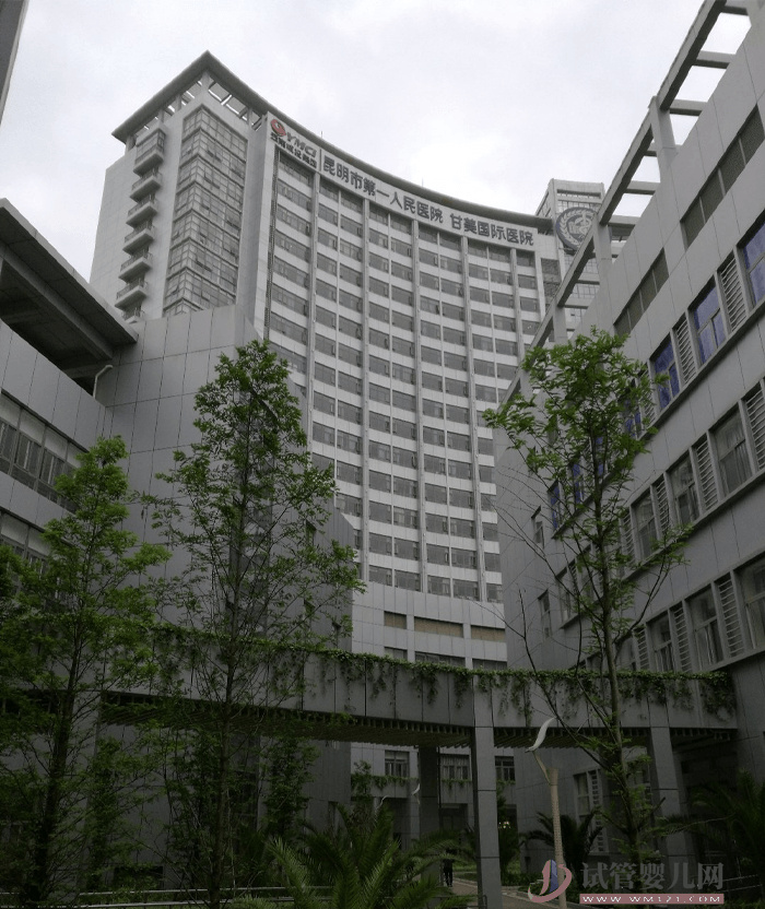 甘美國際醫(yī)院試管嬰兒費用明細表，2023助孕過程花費預估(圖1)