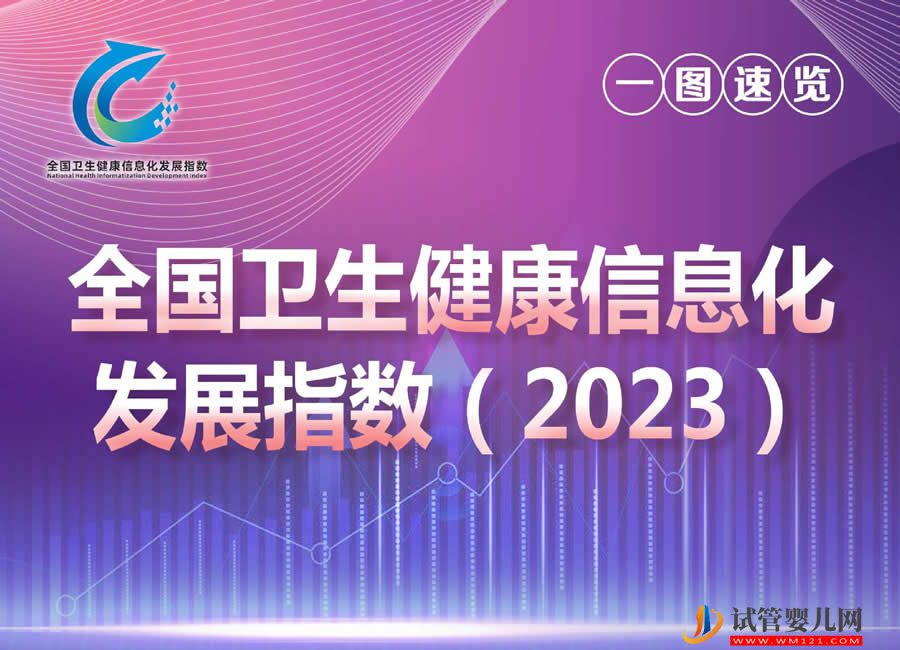 全國衛生健康信息化發展指數（2023）發布(圖1)