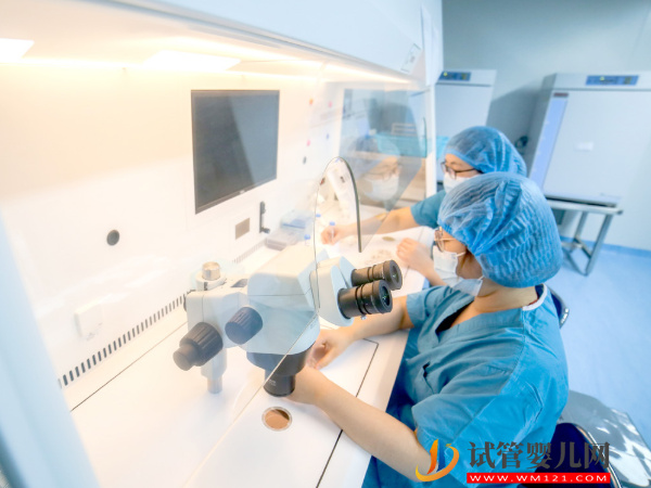 揭秘機器人做試管的特殊操作，網傳費用比人工成本低！(圖2)