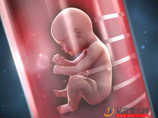 遺傳學檢查出22號染色體微缺失還能要孩子嗎？(圖1)