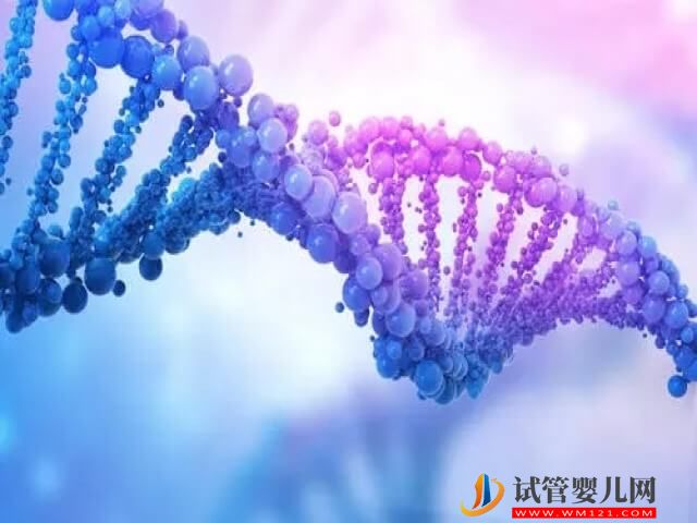 1號染色體部分缺失的鮮胚還能進行試管移植嗎？(圖1)